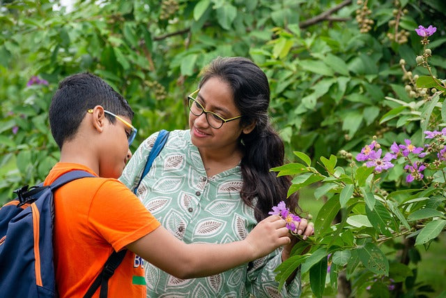 Mother's Day Marketing Insights: What Works Best in the US, UK, Dubai, Japan, and Singapore?